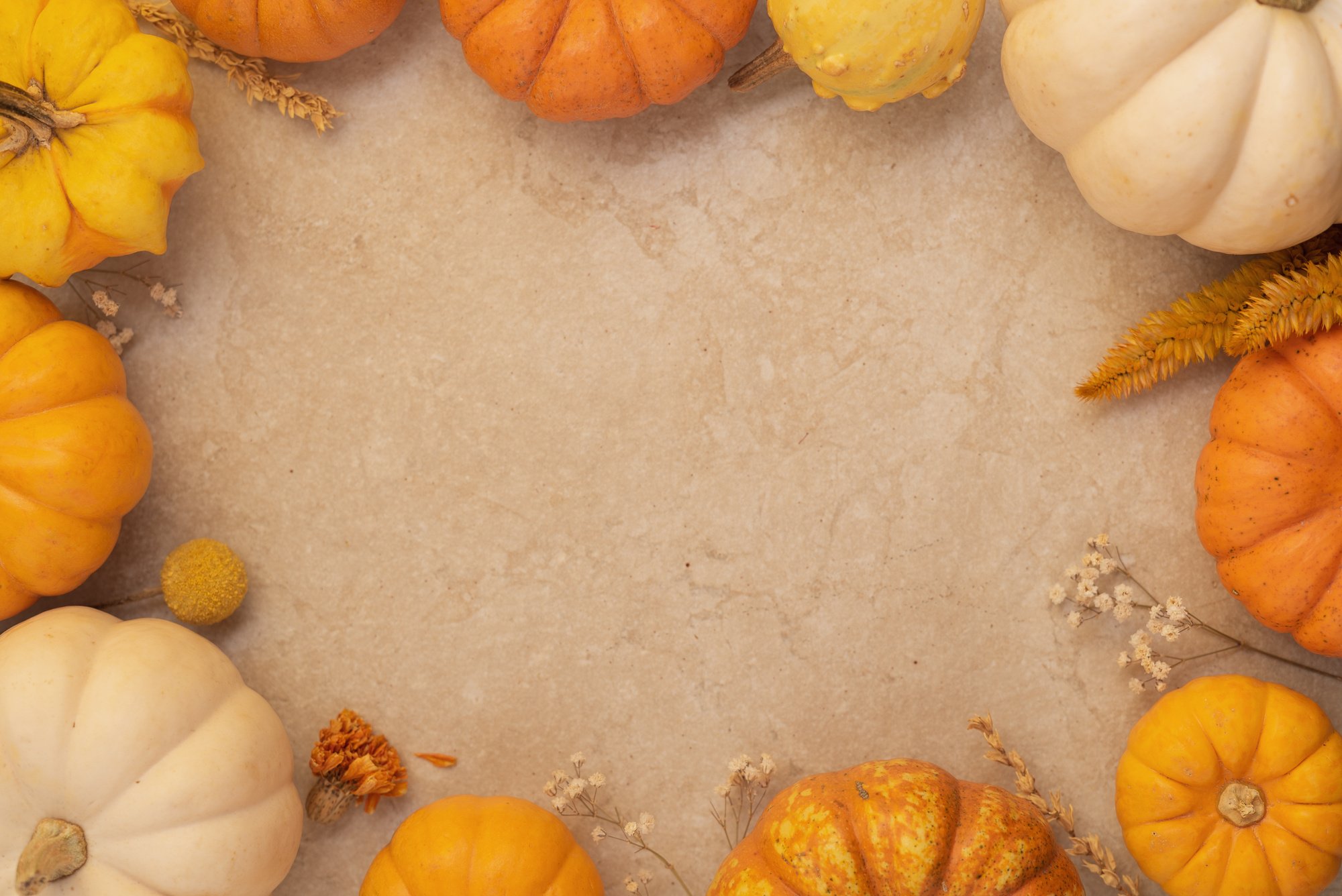 Autumn Pumpkins on Fabric